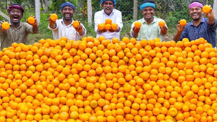 ORANGE JUICE | Huge Orange Juice Making | Orange Recipes | Cooking Kesari Dessert Recipe in Village