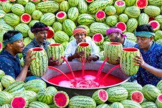 WATERMELON JUICE | Farm Fresh Fruit Juice Making | Watermelon Craft | Watermelon Experiment