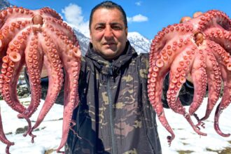 How Juicy To Cook OCTOPUS With Vegetables? A Very Tasty Recipe For Cooking Octopus