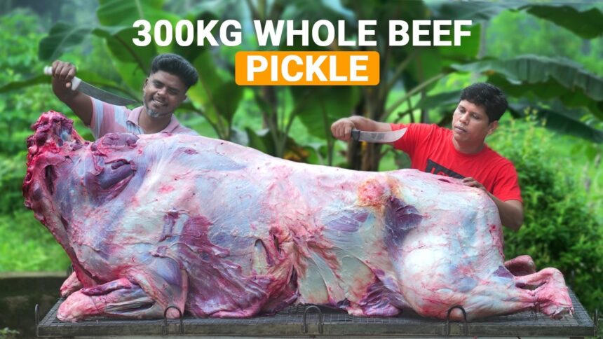 300 Kg WHOLE BEEF PICKLE | Indian Kerala Beef Pickle Recipe | Village Cooking