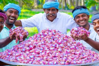 2000 CHICKEN GIZZARDS | Chicken Gizzard Fry Recipe Cooking In Village | Chicken Parts Recipe