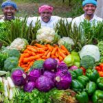 COLORFUL VEGETABLE Soup Recipe | Grand Vegetables Cutting & Cooking | Healthy Soup Recipe