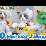 20 Mini Food Challenges | That Little Puff