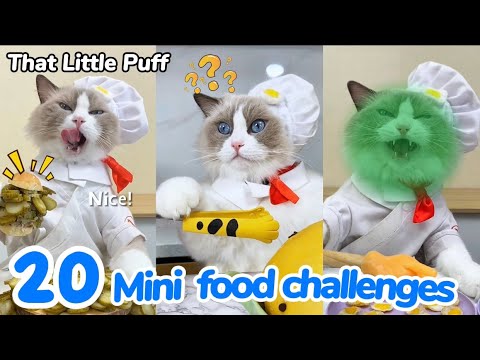 20 Mini Food Challenges | That Little Puff