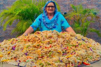 CHILLI GARLIC NOODLES MAKING | Hakka Noodles Recipe By Granny | Street Food |  Veg Village Food