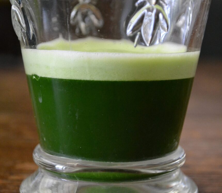 Green Fruit Smoothie With Wheatgrass Juice [Vegan] – One Green Planet