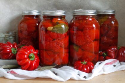 10 Things Homesteaders Do in the Winter – One Green Planet