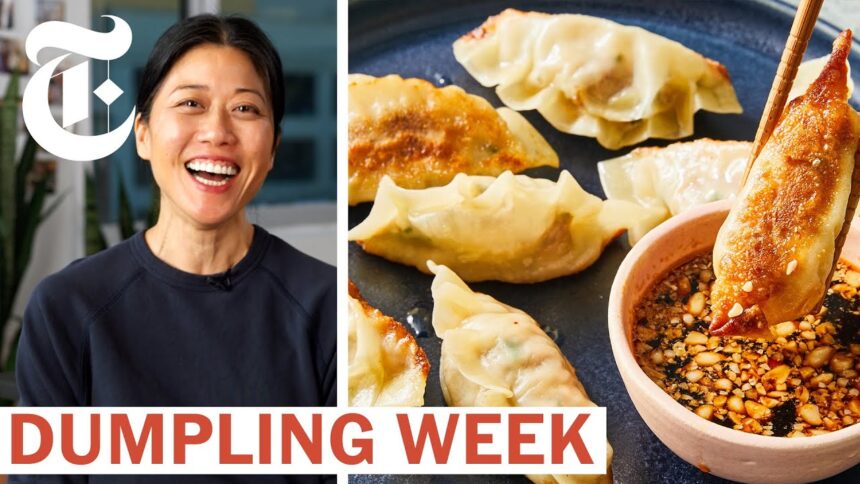 Kay's Pan-Fried Beef and Chive Dumplings | Dumpling Week | NYT Cooking