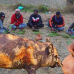 Indian tribe people cooking pig | palm tree juice drink with pork recipe #porkrecipe #pigcurry