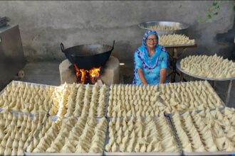 1000 SAMOSA RECIPE BY MY GRANNY | STREET FOOD | INDIAN RECIPES | PERFECT SAMOSA | POTATO RECIPES