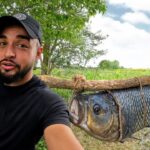 HUGE Fish Curry in Sri Lankan Village (50kg Catch & Cook) 🇱🇰