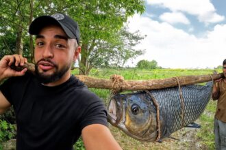 HUGE Fish Curry in Sri Lankan Village (50kg Catch & Cook) 🇱🇰