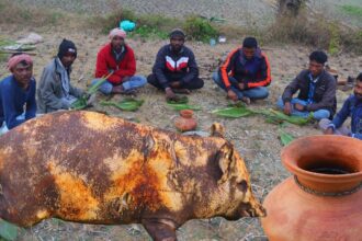 Indian tribe people cooking pig | palm tree juice drink with pork recipe #porkrecipe #pigcurry