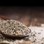 Hemp Seeds Could Be the Next Big Thing in Plant-Based Protein – One Green Planet