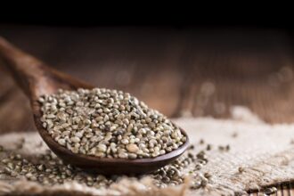 Hemp Seeds Could Be the Next Big Thing in Plant-Based Protein – One Green Planet