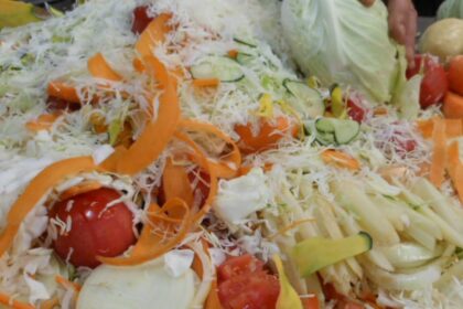 5 Genius Ways to Use Food Scraps Before You Toss Them! – One Green Planet