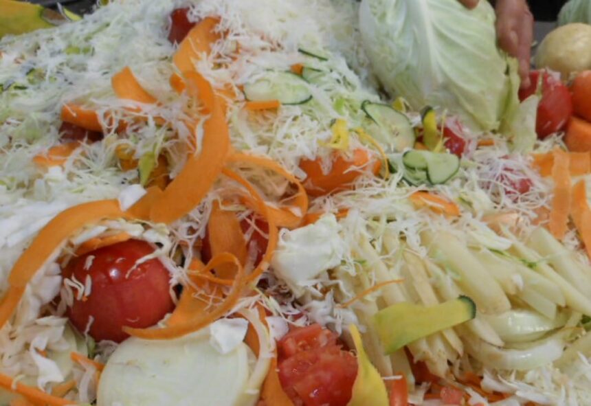 5 Genius Ways to Use Food Scraps Before You Toss Them! – One Green Planet