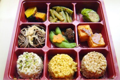 How to Build a Healthy Plant-Based Bento Box – One Green Planet