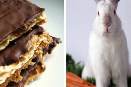 Celebrate Spring with These 8 Delicious Vegan Recipes for Easter and Passover! – One Green Planet
