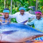 200 Pounds BIG TUNA FISH | Tuna Fish Cutting and Cooking in Village | Tuna Fish Steak Recipe