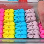 EASY NO-BAKE DESSERTS & Cute Easter/Spring Themed Lunch Ideas