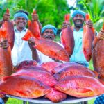 RED SNAPPER FISH | Big Fish Grill Recipe Cooking in Village | Fish Fry in Clay | Ancient Cooking