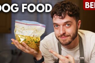 Easy Homemade Dog Food for Busy People