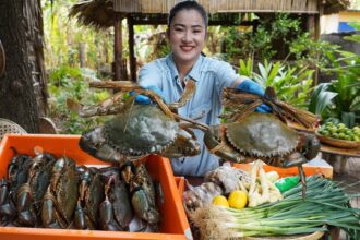 " Huge mud crabs '' - Yummy 3 recipes with mud crabs - Amazing cooking video