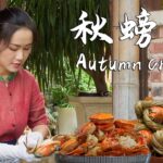 Frost brings rich crab roe—perfect time to enjoy a pot of spicy crabs for a satisfying feast!