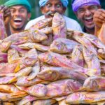 DRIED GOATFISH | Nagarai Karuvadu Fry & Spicy Gravy Recipe | Village Style Fish Thokku