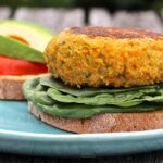 The Ultimate Plant-Based Memorial Day Cookout Recipes That Will Wow Your Guests! – One Green Planet