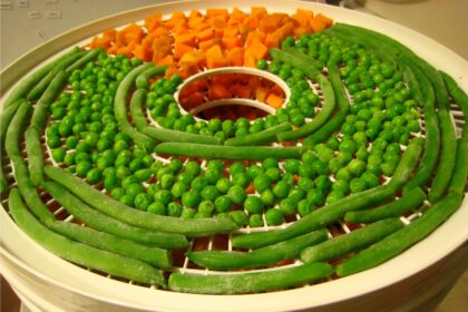 5 Dehydrators Brands for All Your Raw Food Creations – One Green Planet