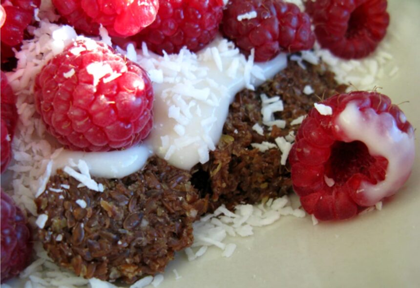 How to Make Coconut Yogurt in a Dehydrator – One Green Planet