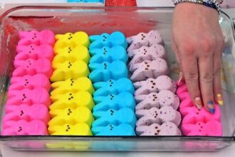 EASY NO-BAKE DESSERTS & Cute Easter/Spring Themed Lunch Ideas