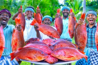 RED SNAPPER FISH | Big Fish Grill Recipe Cooking in Village | Fish Fry in Clay | Ancient Cooking