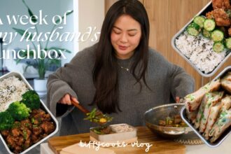 a week of husband's lunchbox ft. easy & healthy recipes  🍱 🍜  ep.9