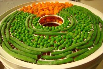 5 Dehydrators Brands for All Your Raw Food Creations – One Green Planet