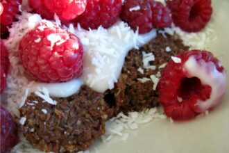 How to Make Coconut Yogurt in a Dehydrator – One Green Planet