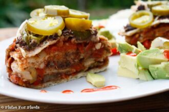 Mexican Lasagna [Vegan]