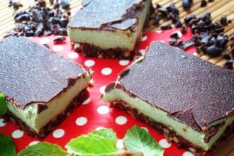 Raw Choc-Mint Slice [Vegan, Gluten-Free]