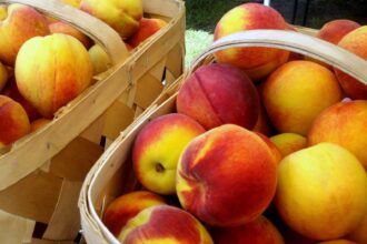 Ways To Enjoy 5 Delicious Summer Produce That Are Soon To Be In Season – One Green Planet