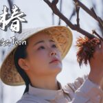 If You Don’t Eat Chinese Toon in Spring, You’re Missing Half the Season!【滇西小哥】
