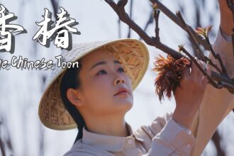 If You Don’t Eat Chinese Toon in Spring, You’re Missing Half the Season!【滇西小哥】