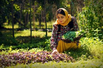 Cooking Ghormeh Sabzi, the Most Popular Iranian Stew | Rural Cuisine