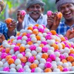 COLORFUL SWEET | Coconut Laddu Recipe Cooking in Village | Farm Fresh Coconut Nariyal Ladoo Recipe