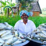 Traditional Fish Curry | Cooking Fish Recipe with Traditional Hand Ground Masala | Village Food