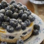 Blueberry Coconut Cake [Vegan