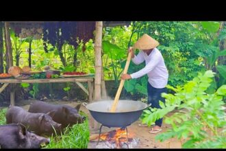 Countryside cooking: Native Pig Recipes | Pork Humba, Mechado and Nilat-an