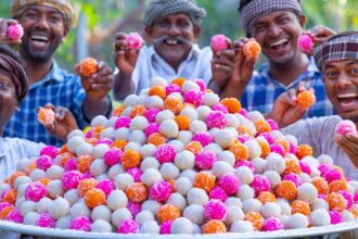 COLORFUL SWEET | Coconut Laddu Recipe Cooking in Village | Farm Fresh Coconut Nariyal Ladoo Recipe