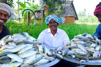 Traditional Fish Curry | Cooking Fish Recipe with Traditional Hand Ground Masala | Village Food